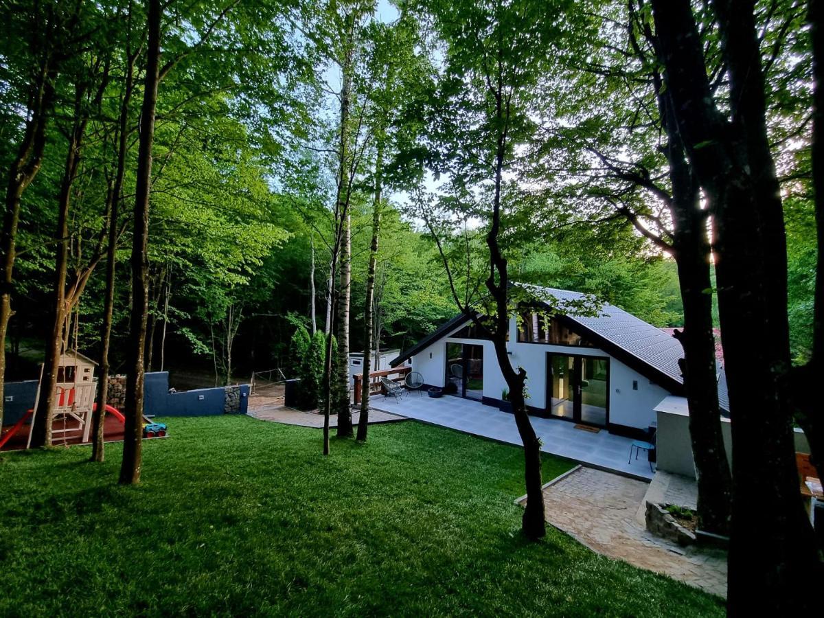 Vila Blanc Valiug Crivaia 外观 照片